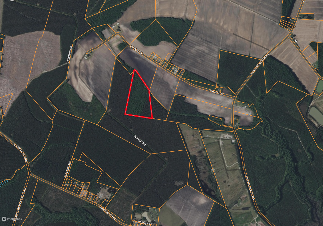 25 AC Timber & Hunting Tract Near Bath, NC – Secluded Gem